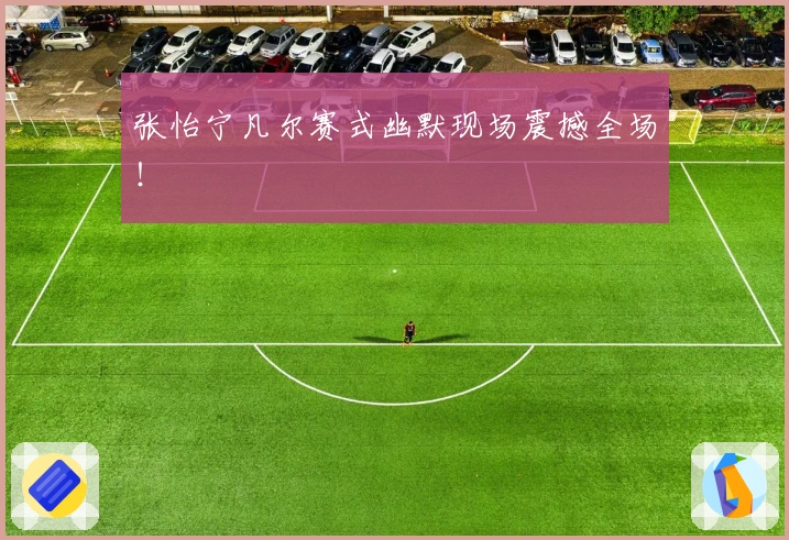 张怡宁凡尔赛式幽默现场震撼全场！