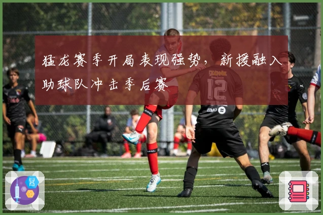 猛龙赛季开局表现强势,新援融入助球队冲击季后赛