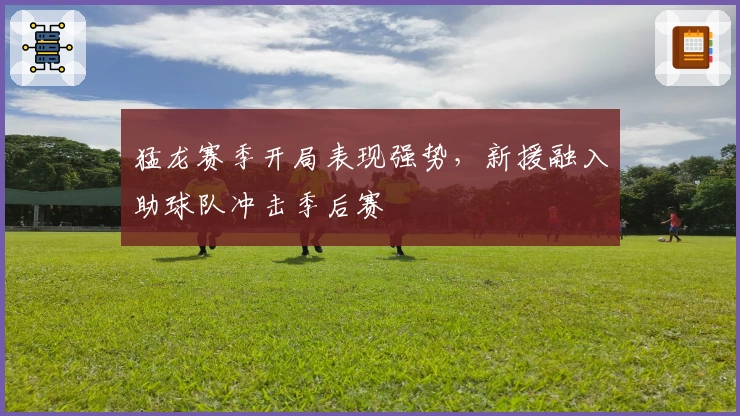 猛龙赛季开局表现强势，新援融入助球队冲击季后赛